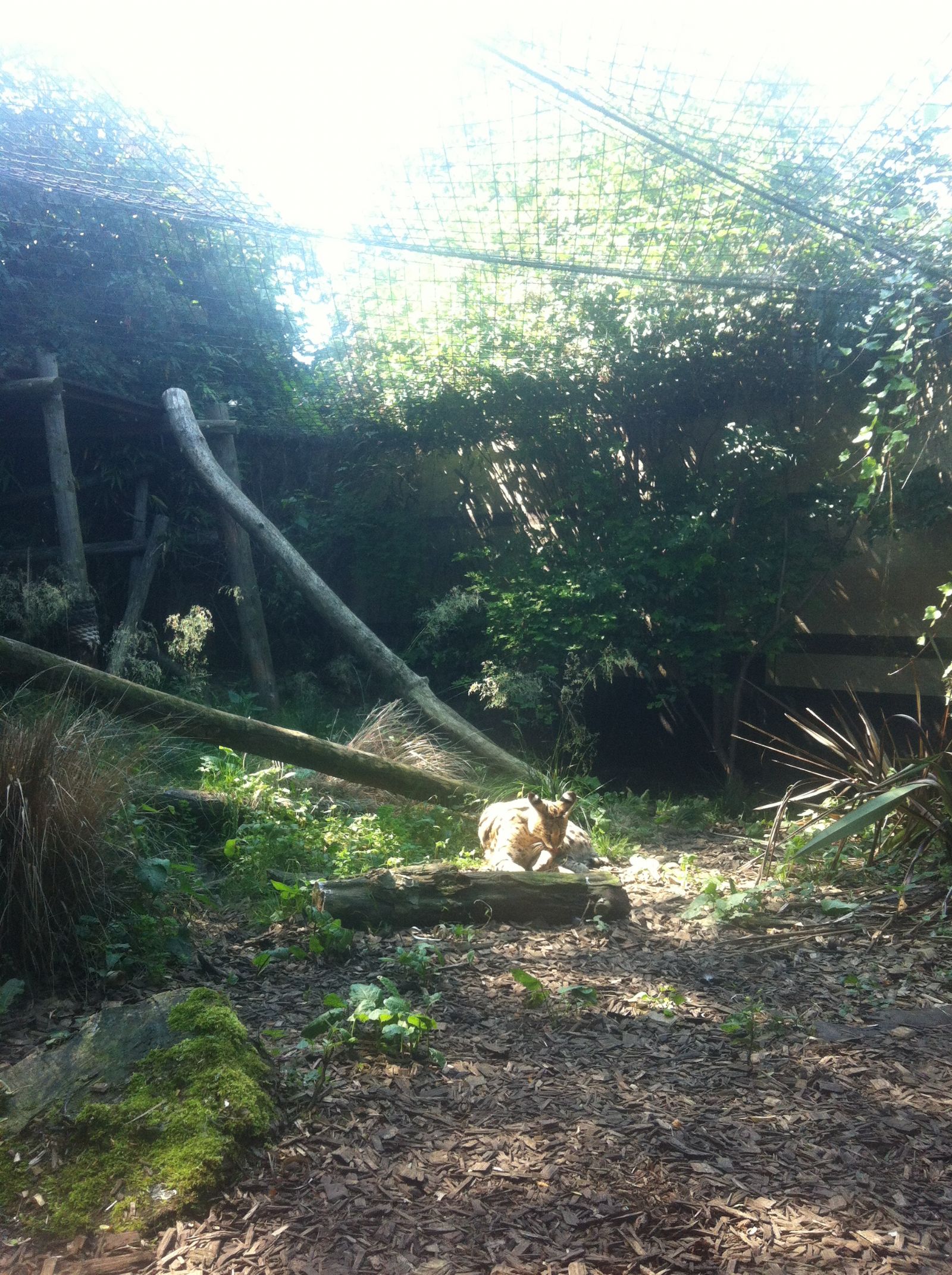 London Zoo